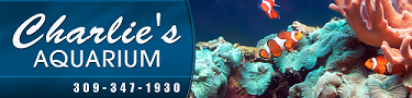 Charlies Aquarium